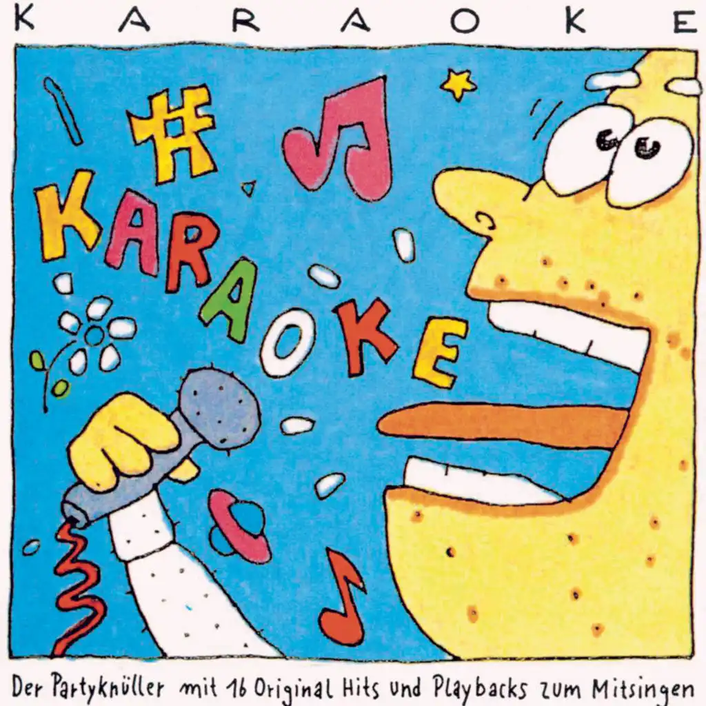 Karaoke - Der Partyknüller mit 16 Original Hits & Playbacks zum Mitsingen