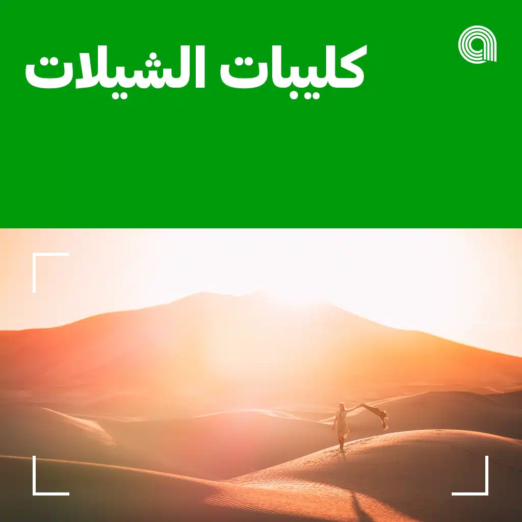 كليبات الشيلات