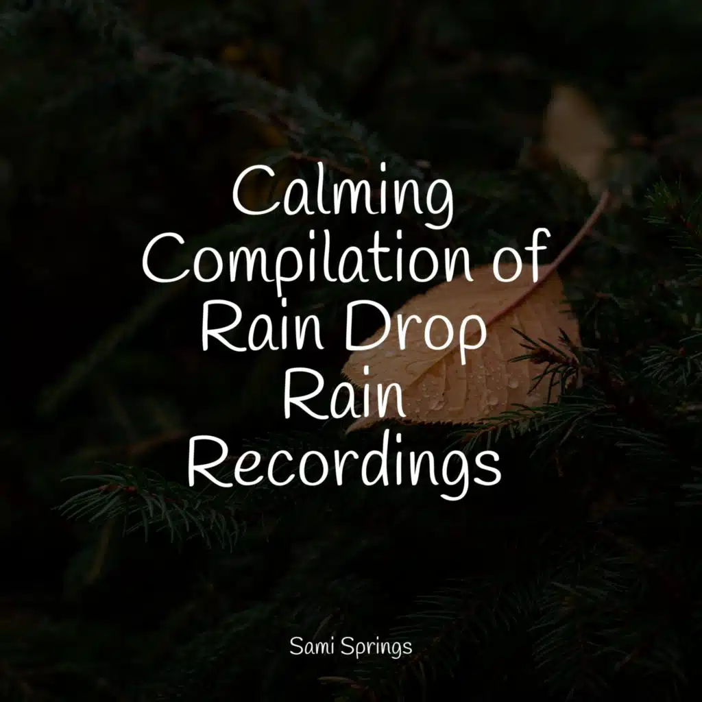 White Noise Roof Shed Rain