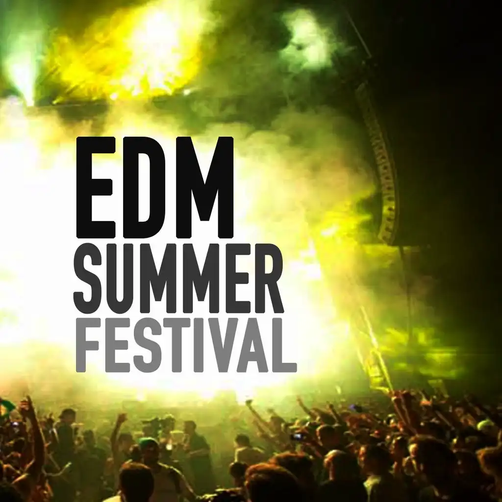 EDM Summer Festival