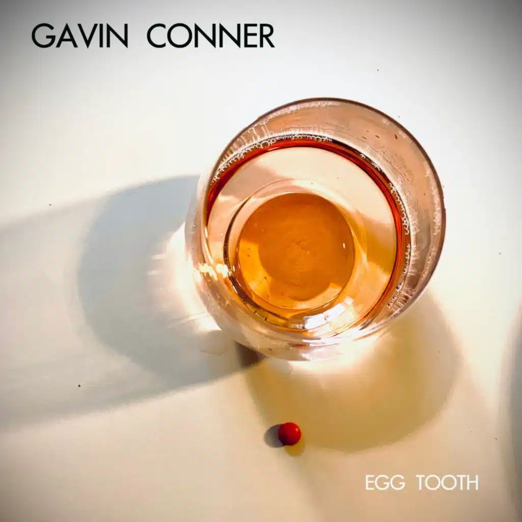 Egg Tooth