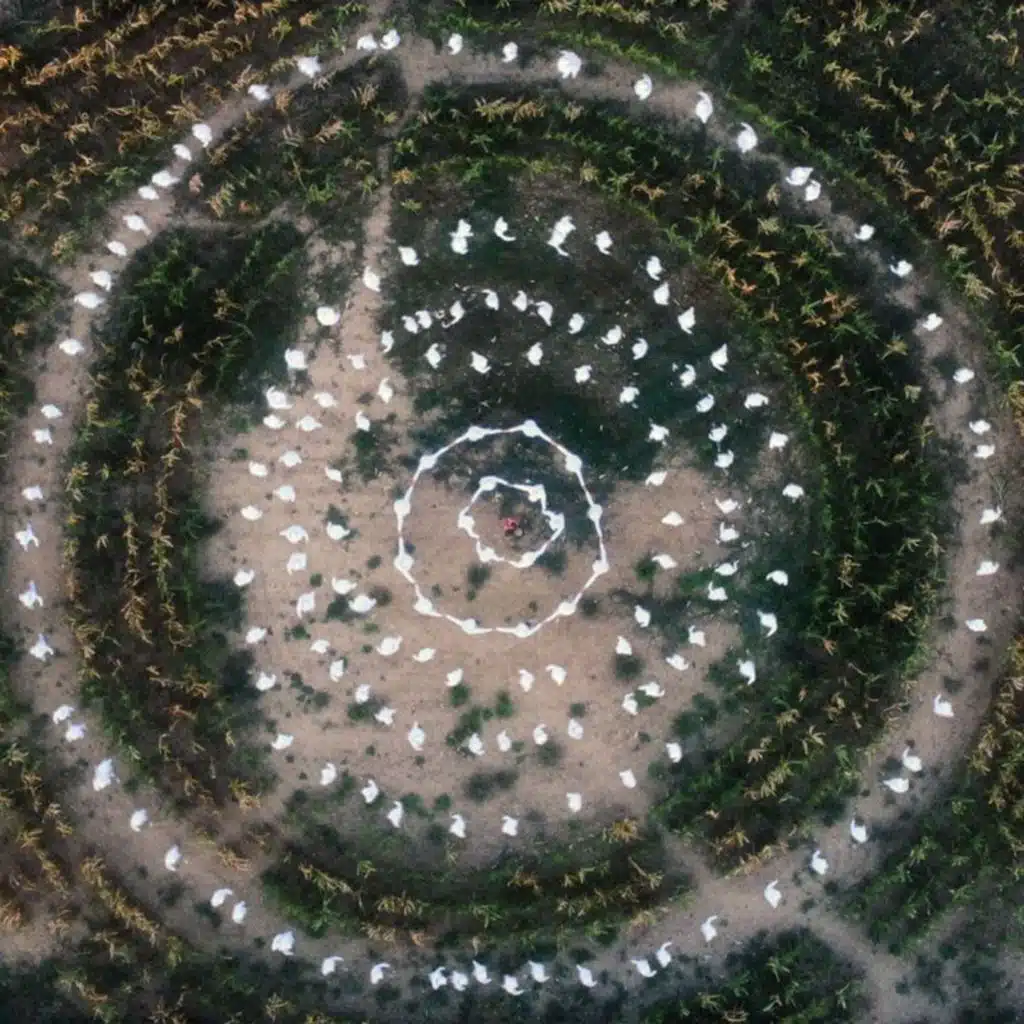 jardin (Thx4Crying Halloween Remix)