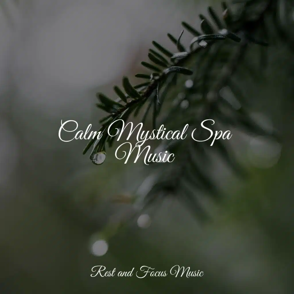 Reiki Music & Namaste Yoga