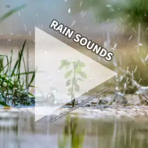 Rain Sounds by Denys Lorant