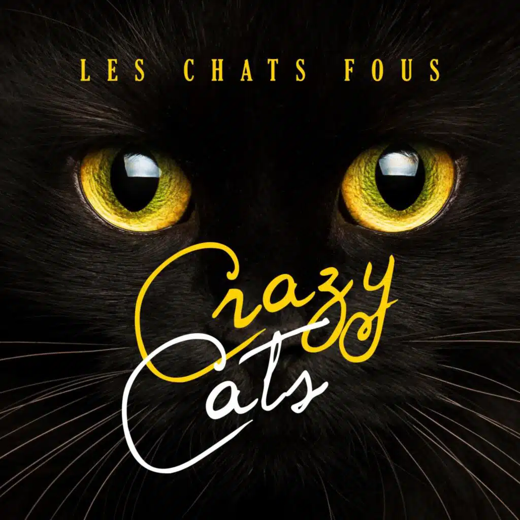 Les chats fous