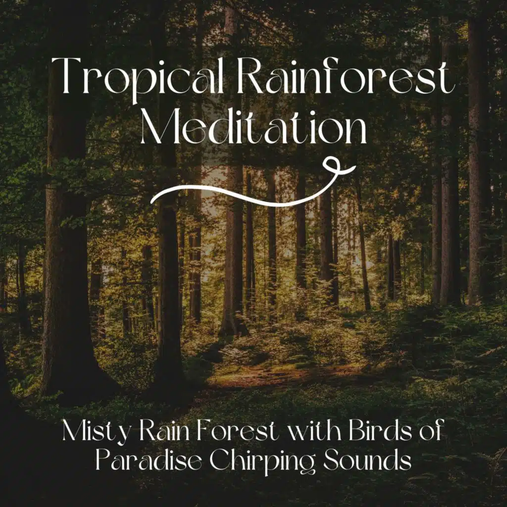 Rainforest Music Lullabies Ensemble