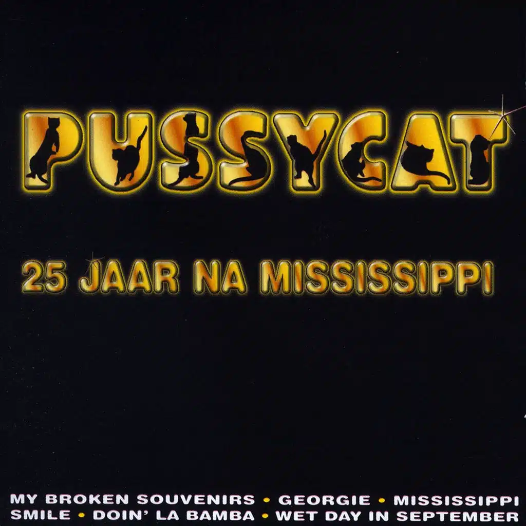 25 Jaar Na Mississippi
