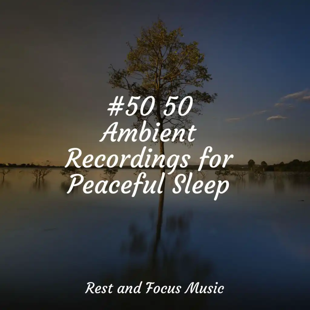 #50 50 Ambient Recordings for Peaceful Sleep