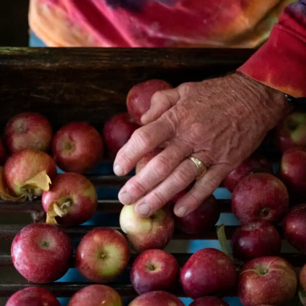 Chef Missy Robbins on 'Pasta', Peters Pasta, and a local pasta shop where everyone belongs