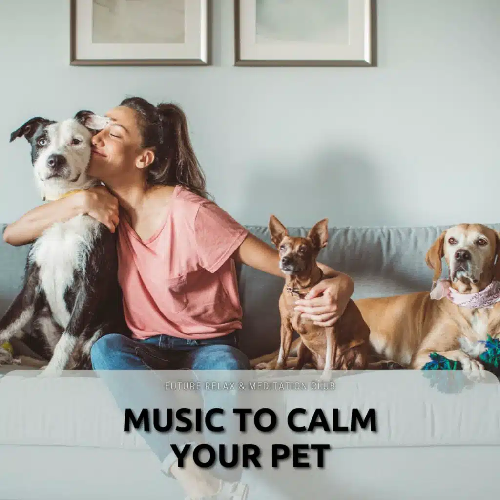 Future Relax & Meditation Club