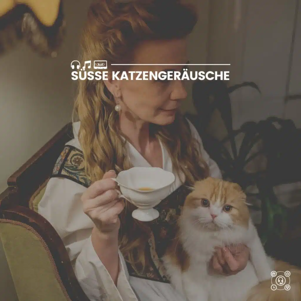 Süße Katzengeräusche