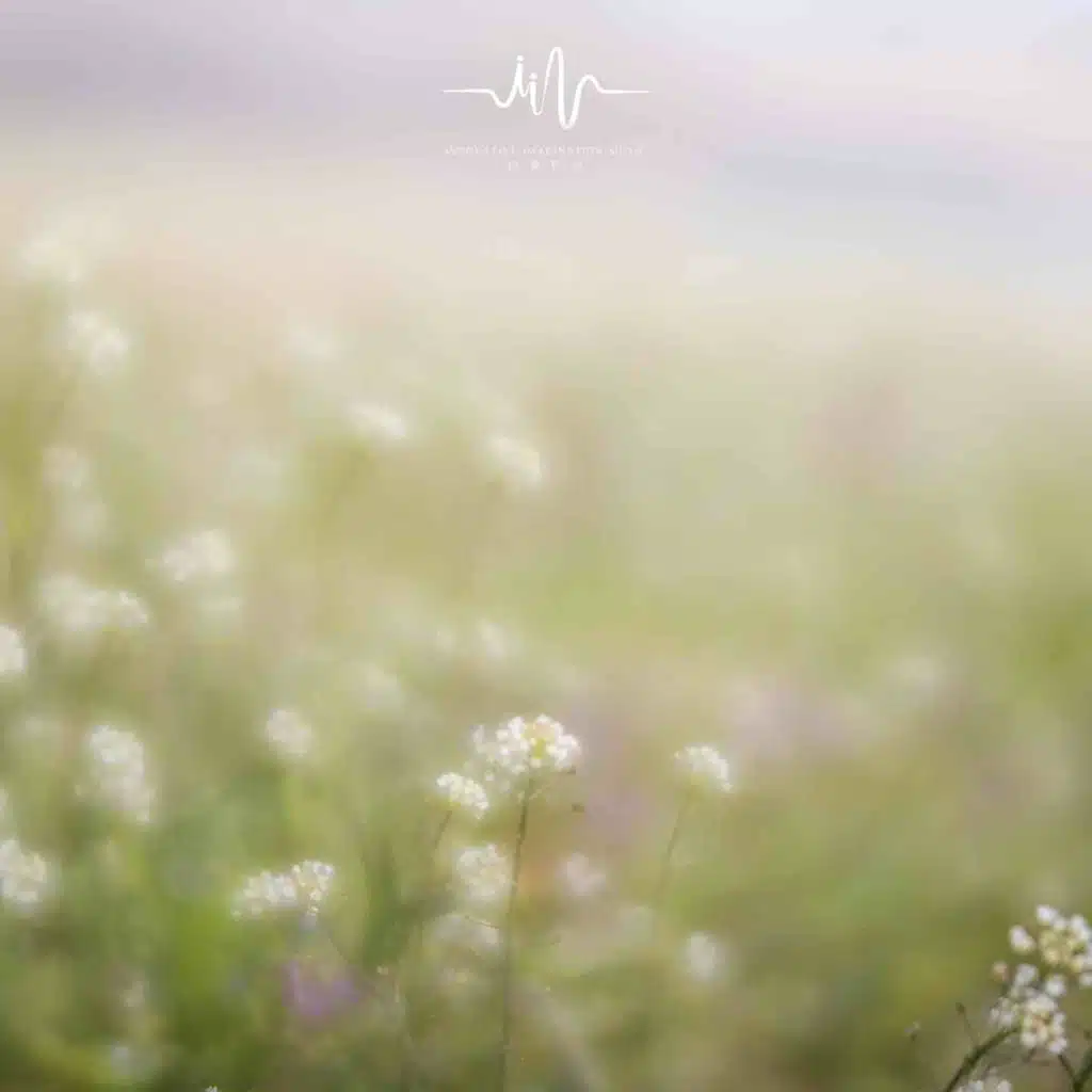 清风明月 (吉他+水滴声)