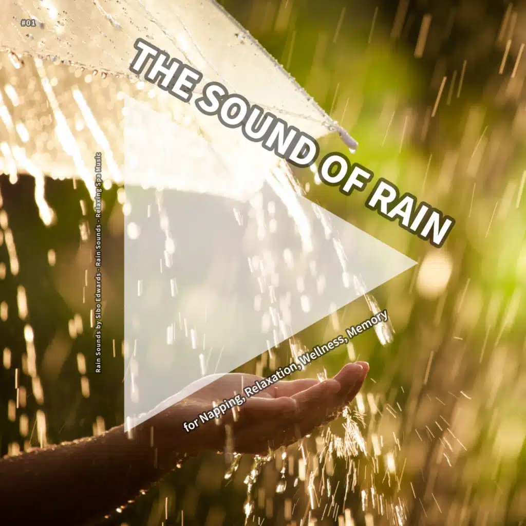 Rain Sounds by Sibo Edwards