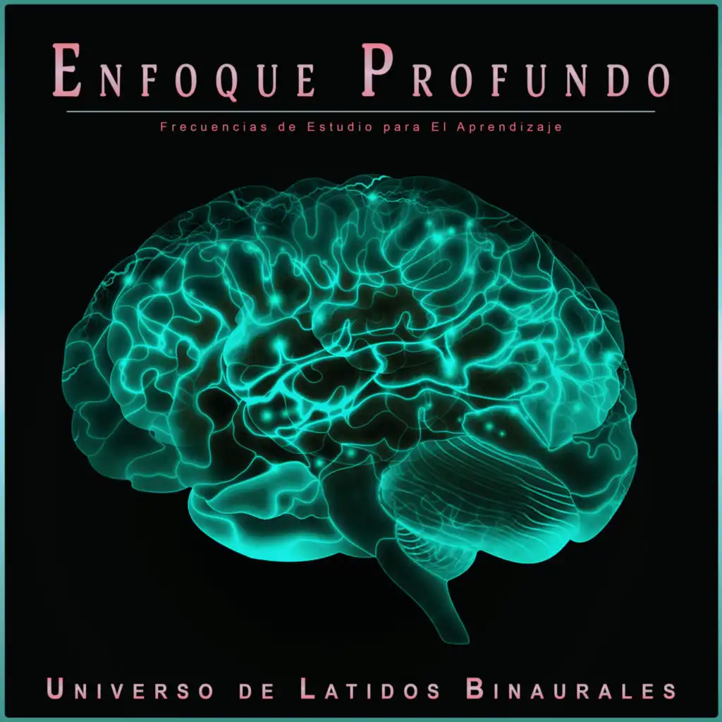 Enfoque Profundo: Frecuencias de Estudio para El Aprendizaje