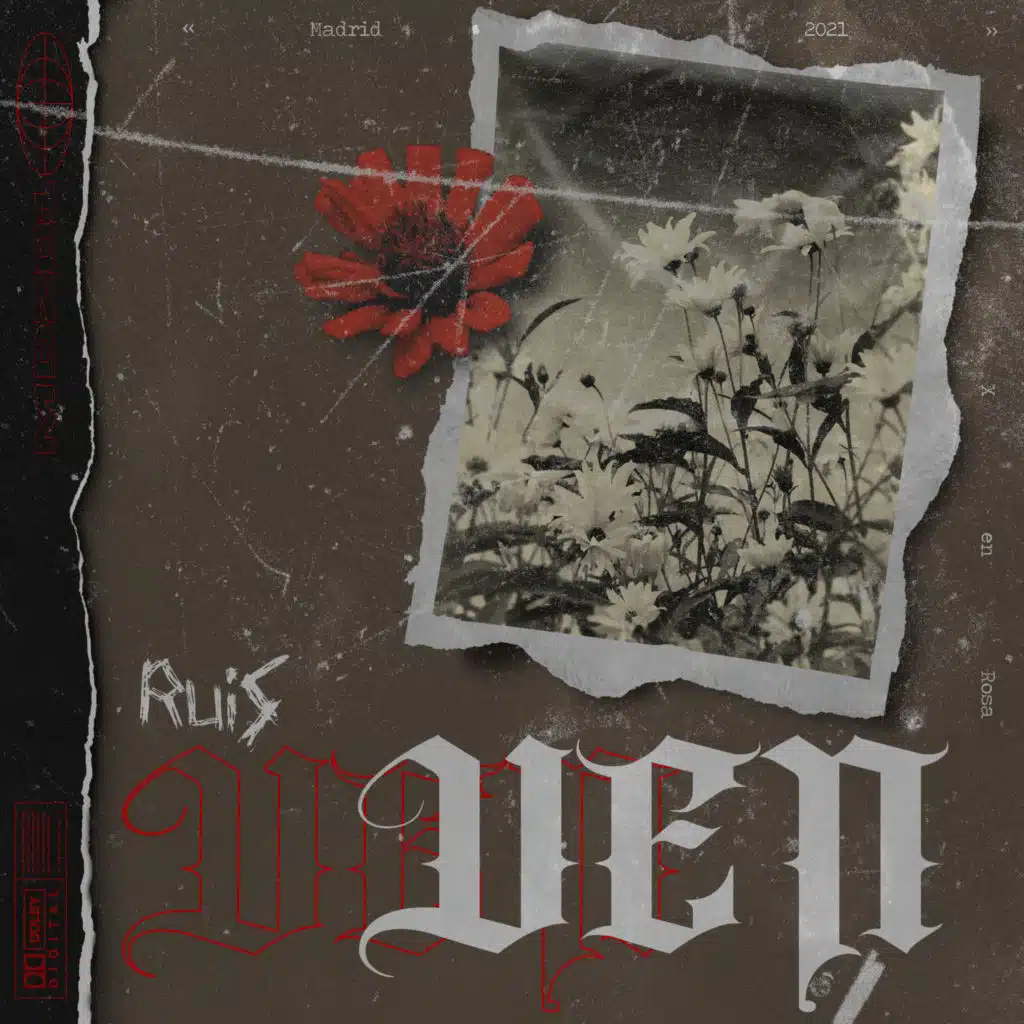 Ruis