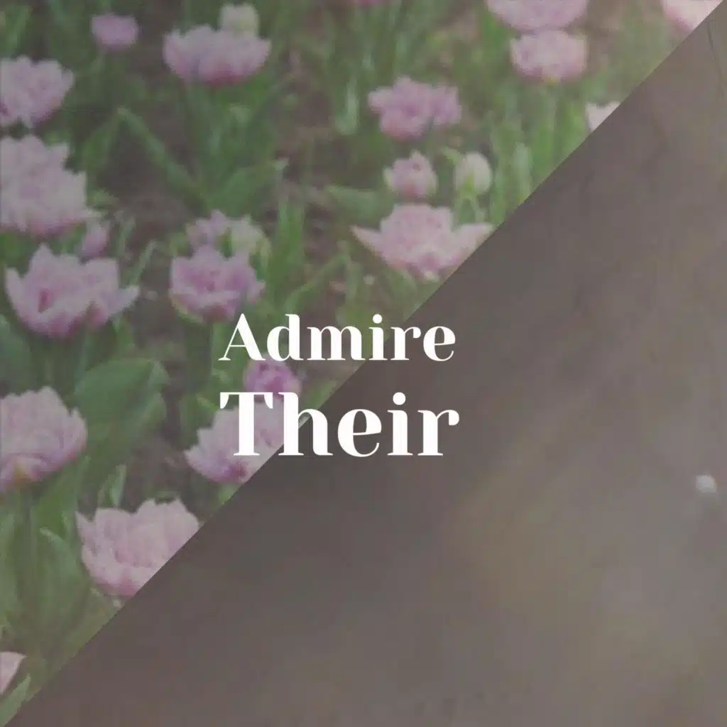 Admire Their