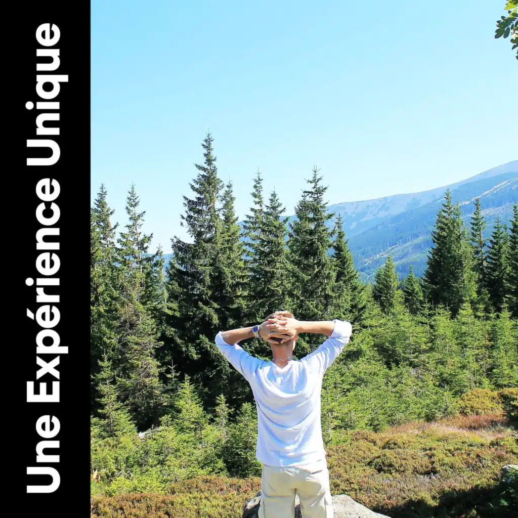 Une Expérience Unique