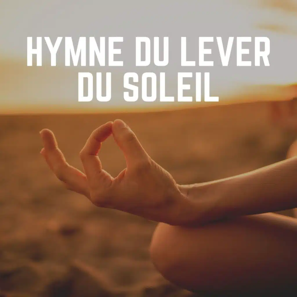Musique Calme et Relaxation, Douce détente academie & Musique de Méditation