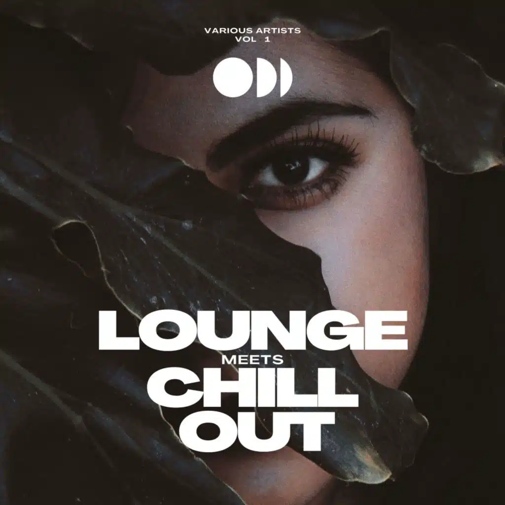 Lounge Meets Chill Out, Vol. 1