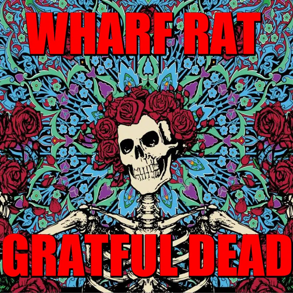 Wharf Rat