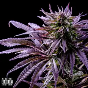 Green Crack (feat. Project Pat) [chopped & screwed]