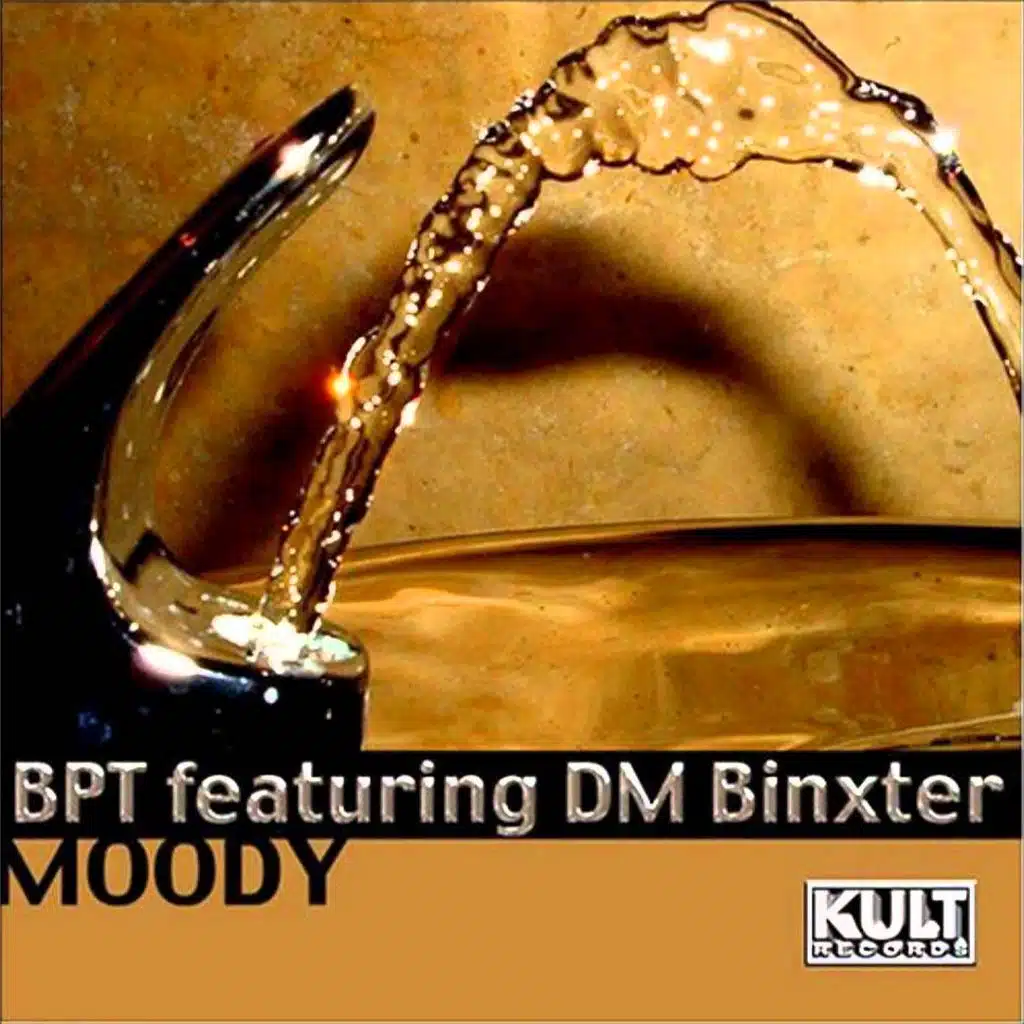 Moody [ft. DM Binxter] (Original Mix)