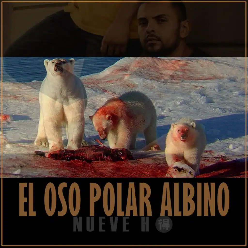 El Oso Polar Albino
