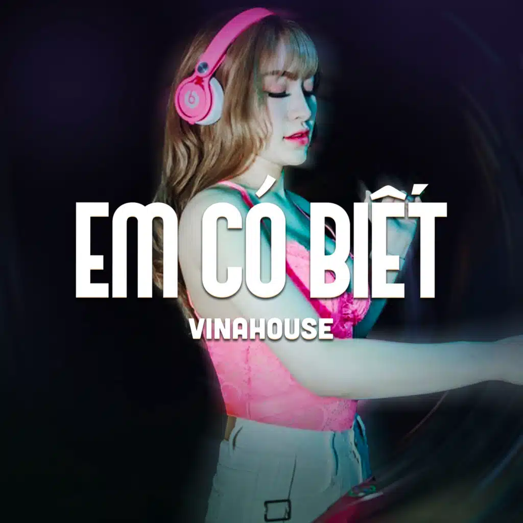 Em Có Biết (Vinahouse)
