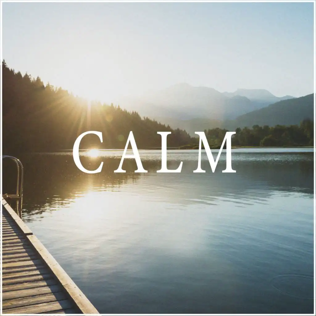 CALM (feat. TELL YOUR STORY music by Ikson™)
