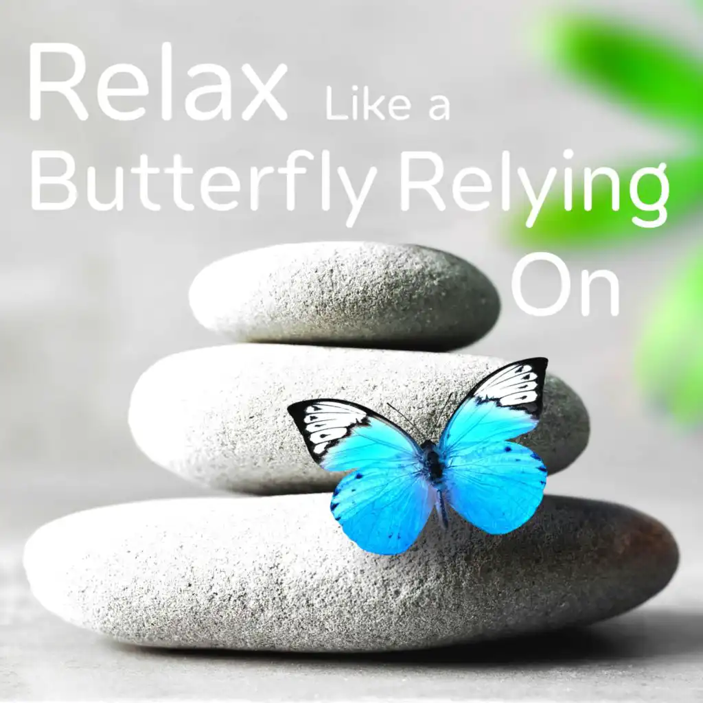 Relax Like a Butterfly Relying On