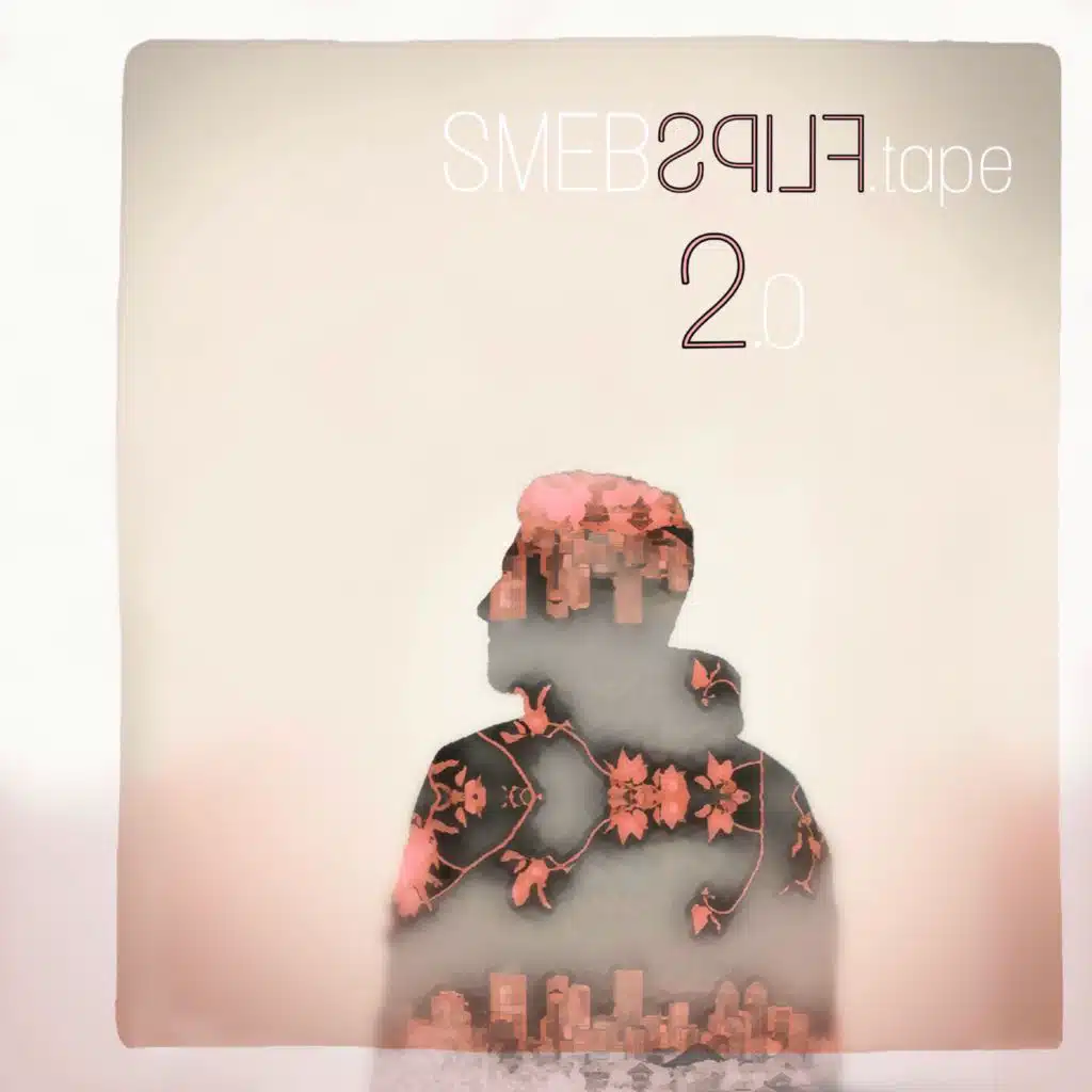 Smebflips 2