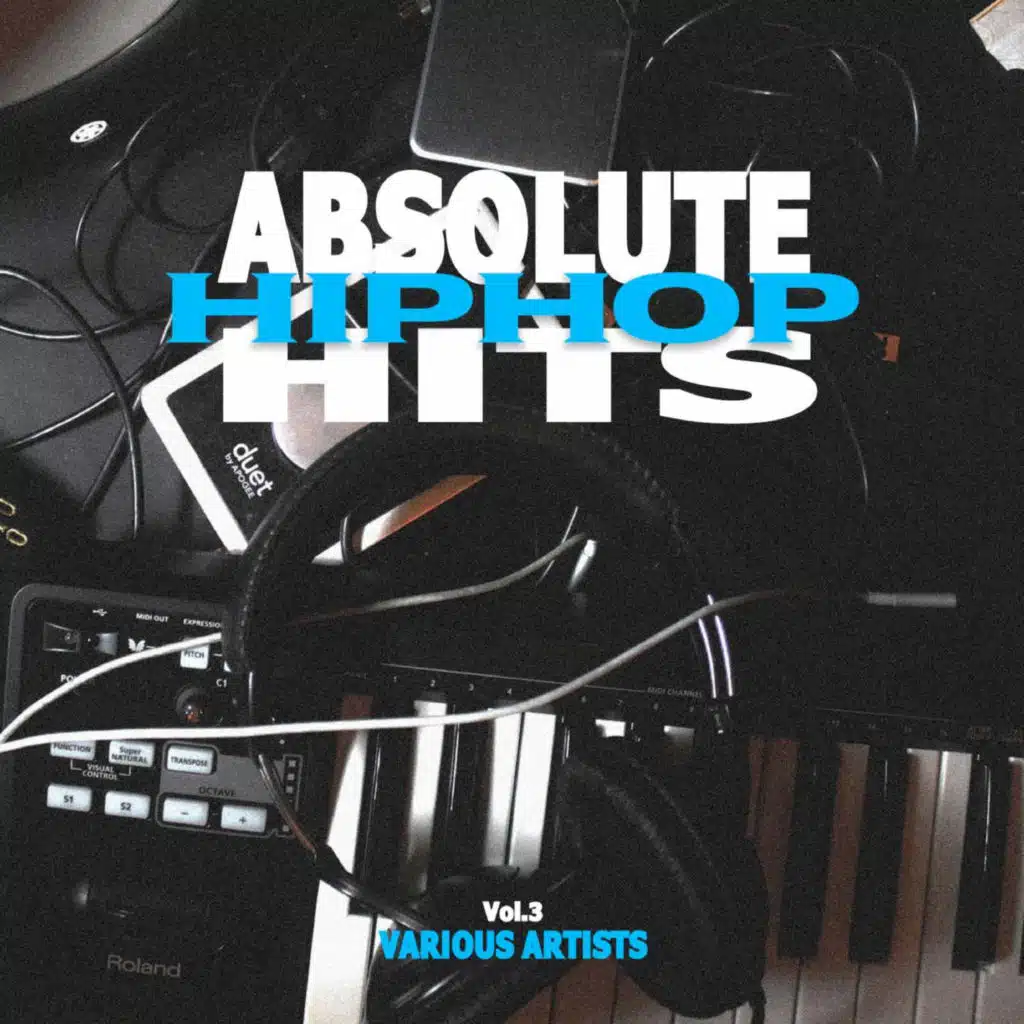 Various Artists - Absolute Hip Hop Hits Vol.3
