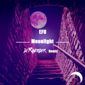 Moonlight (DJ Raverider Remix Radio Edit)