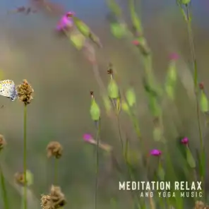 Relax Yoga Music Meditation