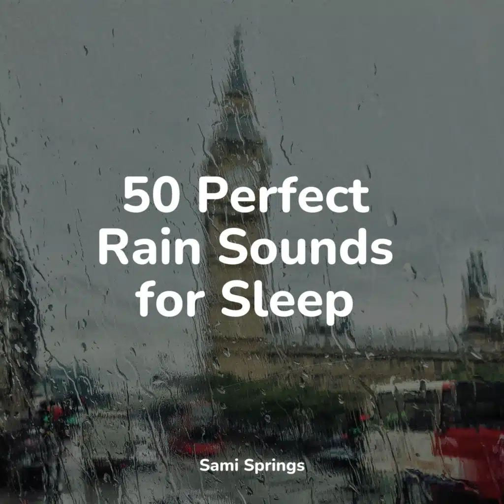 Nature Sounds Collection