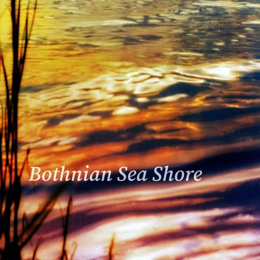 Bothnian Sea Shore