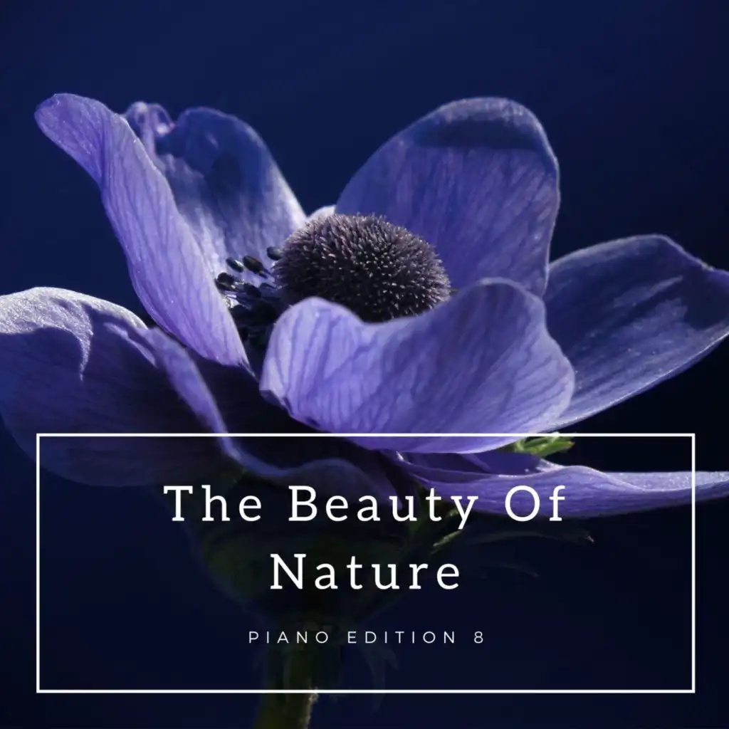 The Beauty of Nature (Piano Edition 8)