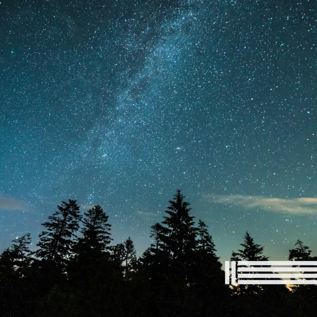 Crickets In The Evening (Loopable)