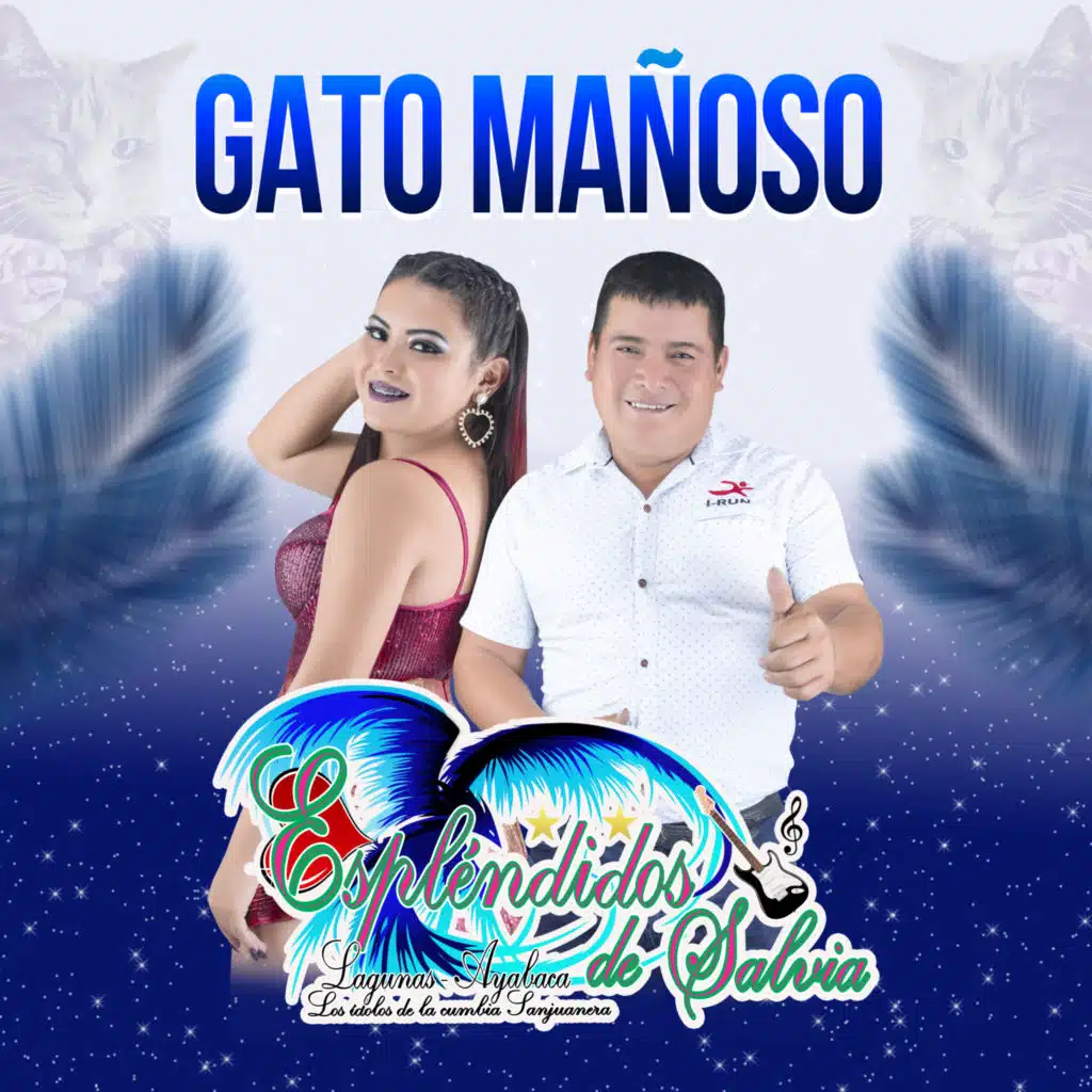 GATO MAÑOSO