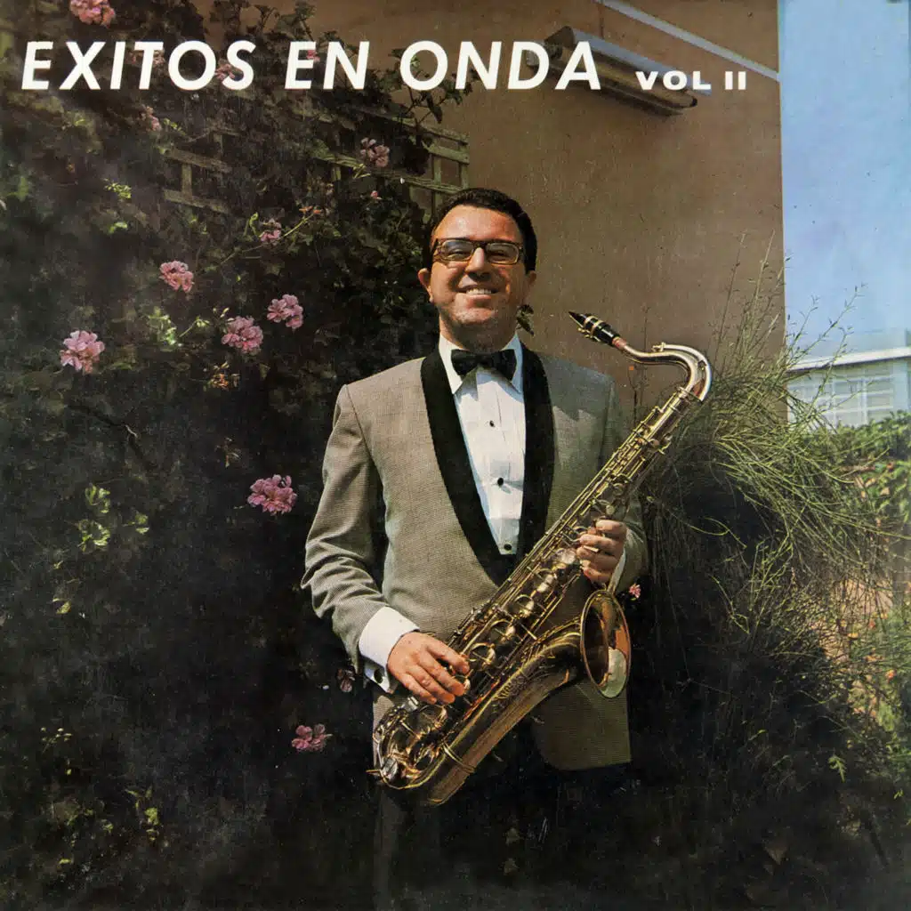 Éxitos en Onda Vol.2