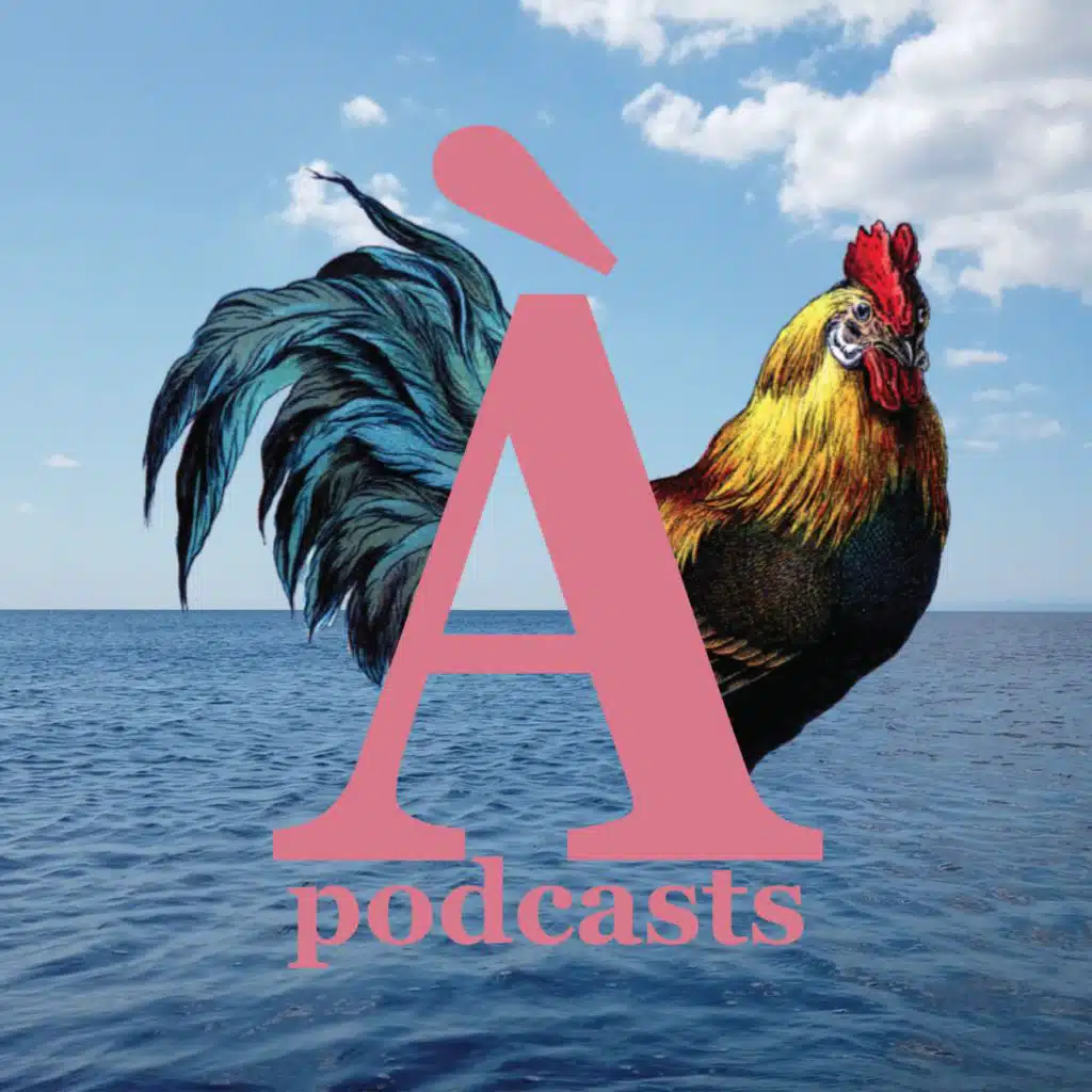 Radio Quelque chose - avec personne: à la plage (RQC221)