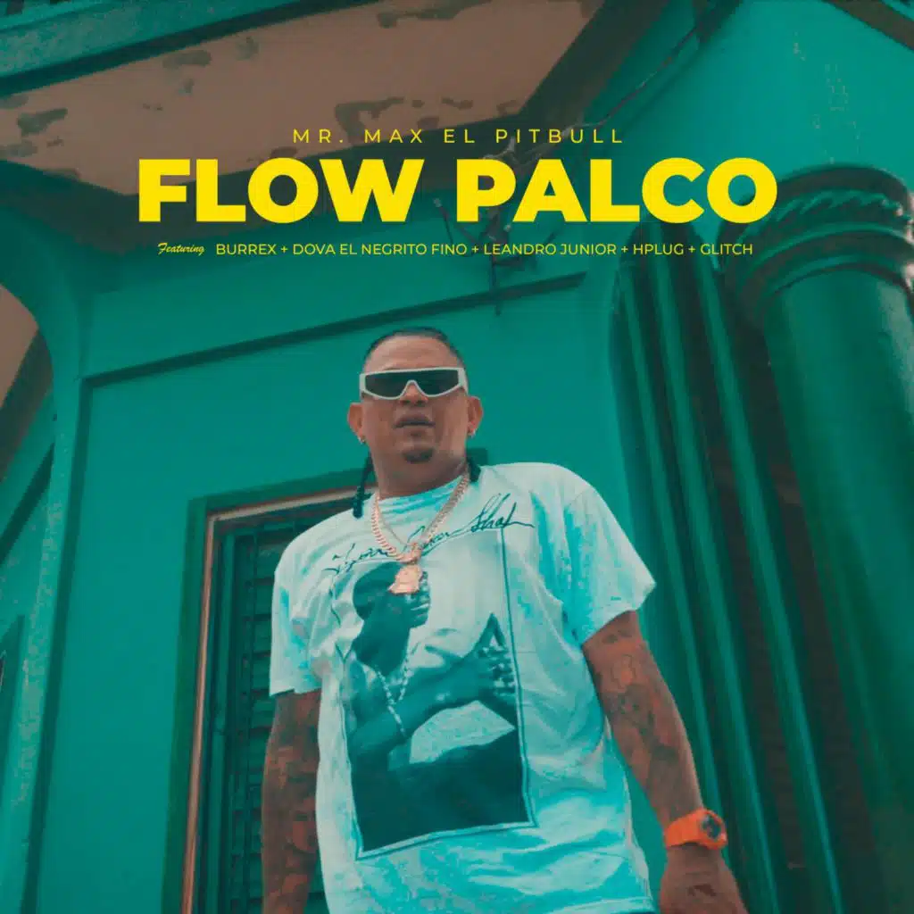 Flow Palco (feat. Glitch, Burrex, Dova el Negrito Fino, Leandro Junior & Hplug)
