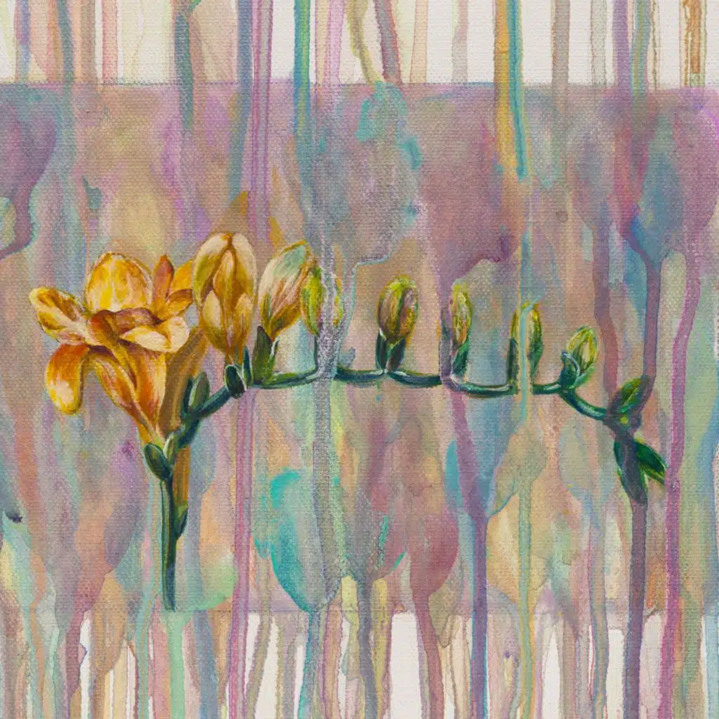 Freesia