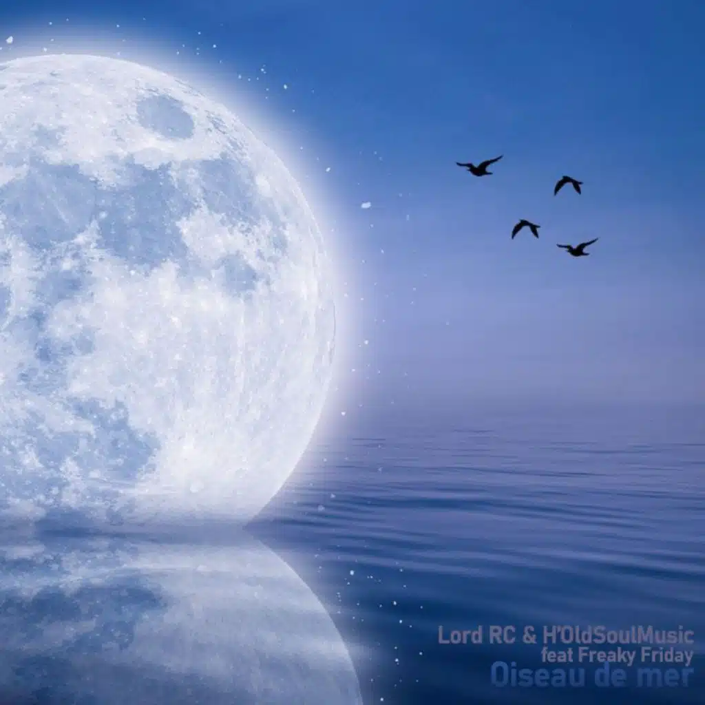 Oiseau de mer (feat. Freaky Friday)