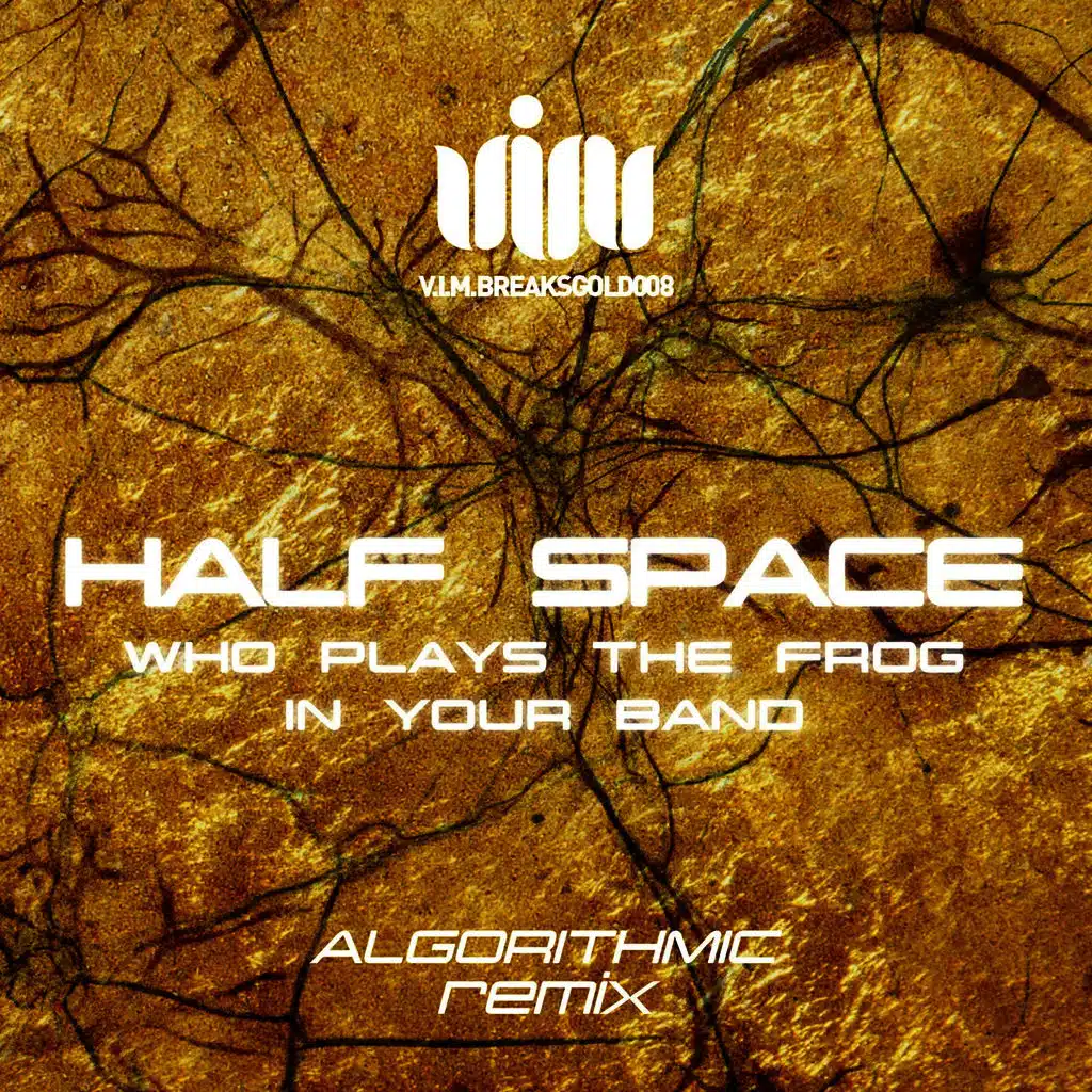 Who Plays The Frog In Your Band (Original mix)