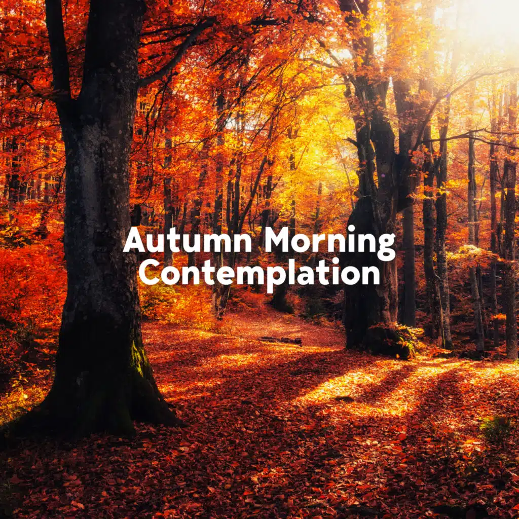 Time of Relax Universe