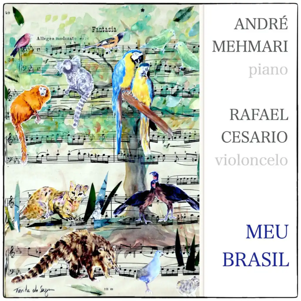 André Mehmari & Rafael Cesario