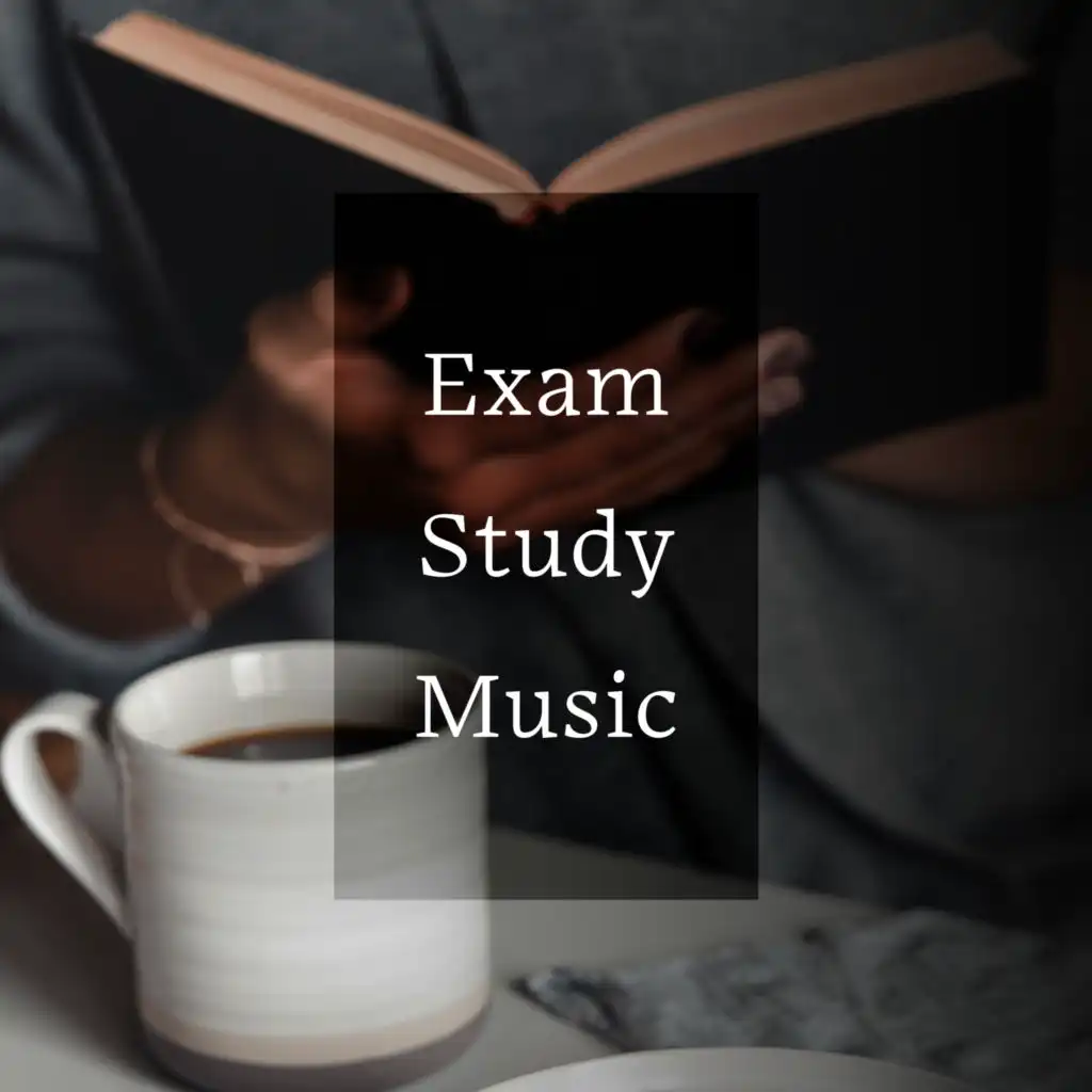 Brain Power Academy & Exam Study Background Music Consort