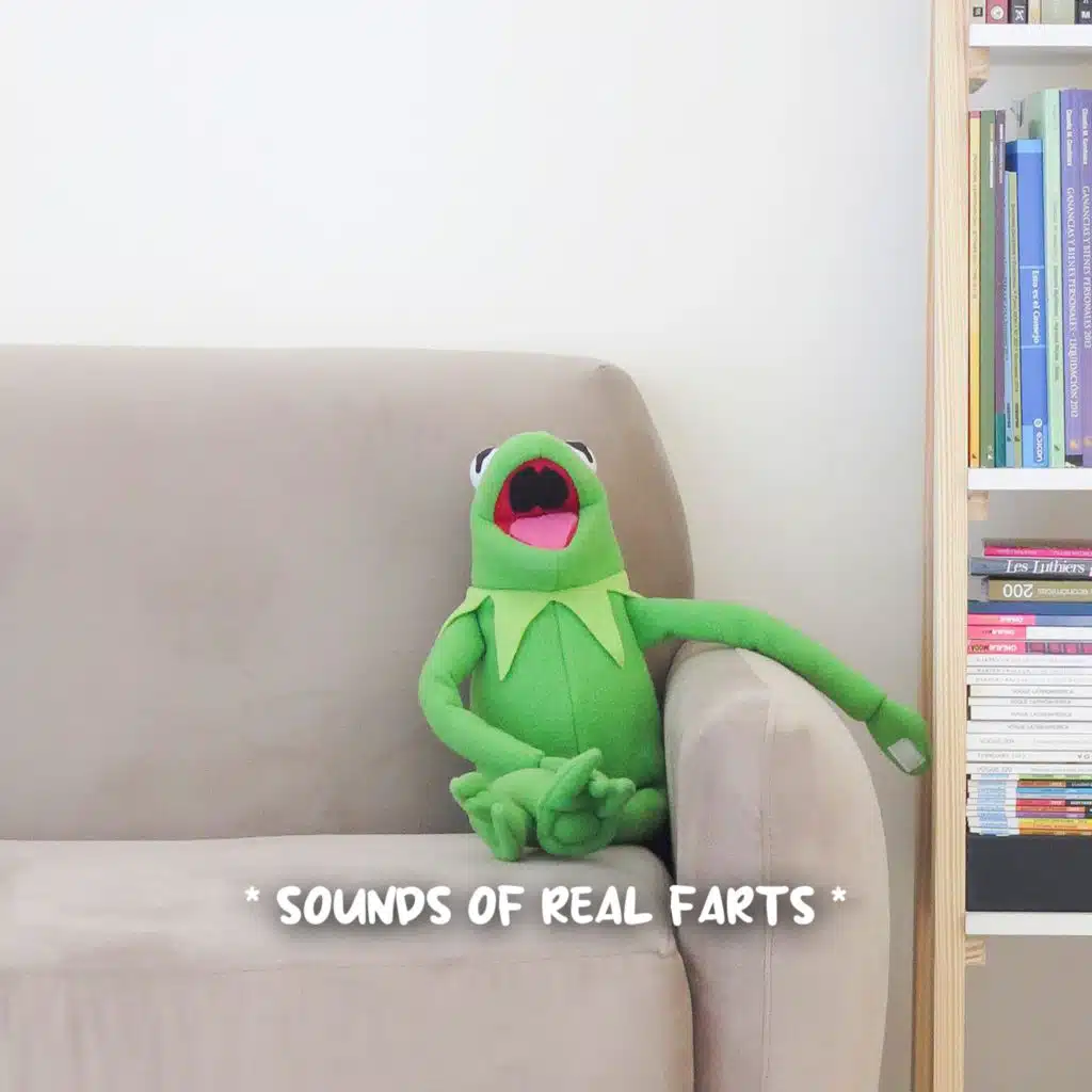 * sounds of real farts *