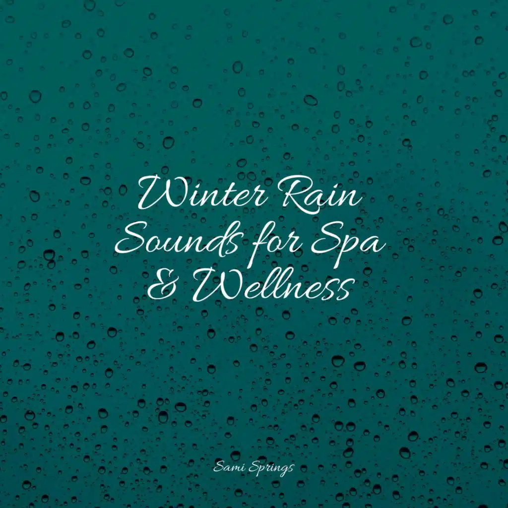 Winter Rain Sounds for Spa & Wellness